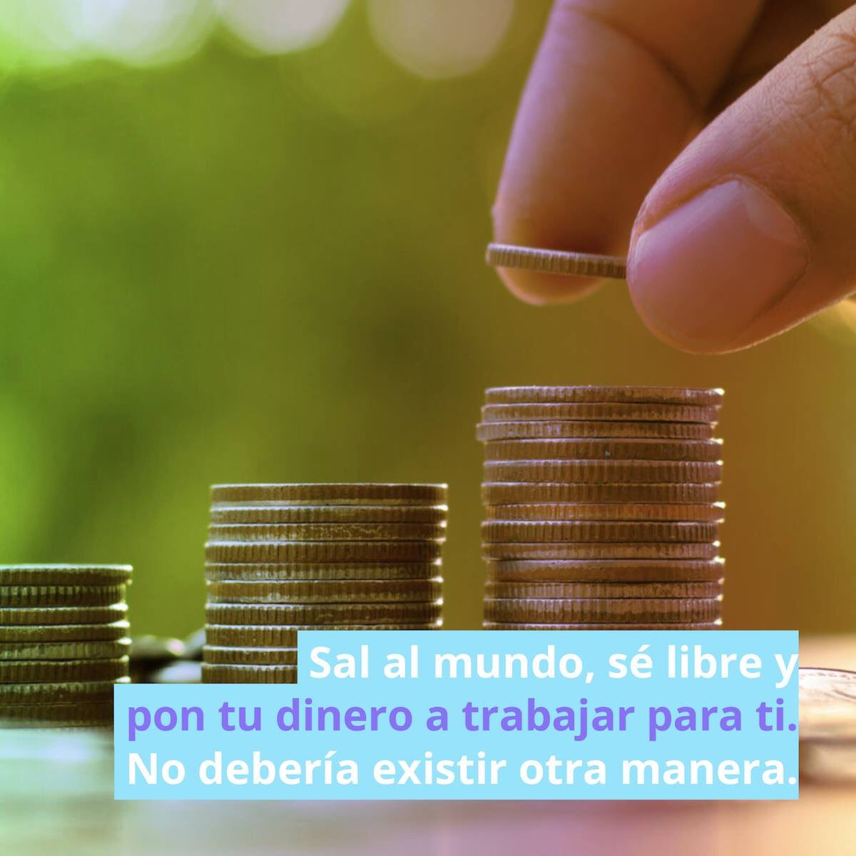 Dividendee's tweet photo. #Haka: Ésta es nuestra razón de existir. Todo está a punto de cambiar. ¿No estamos cansados de vivir al día ya? #equitycrowdfunding https://t.co/5NCc4yhVGf