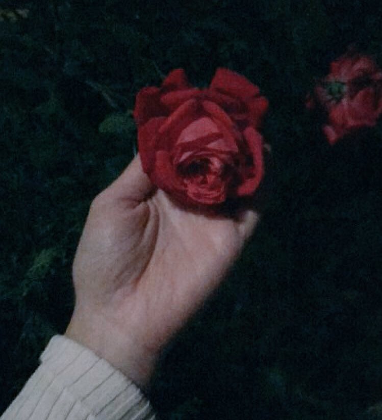 Ayda Naydın tweet media