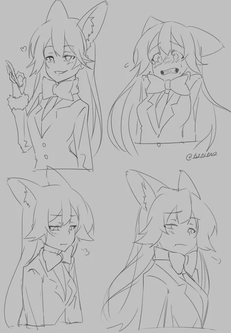 キタキツネ 
