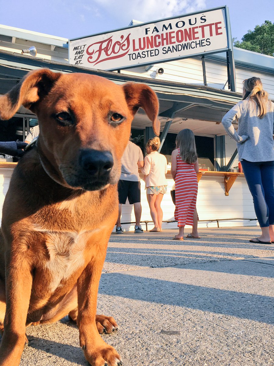 molly_rooney's tweet photo. #FloDog
CC: @Flosfamous https://t.co/AVjR28QEuY
