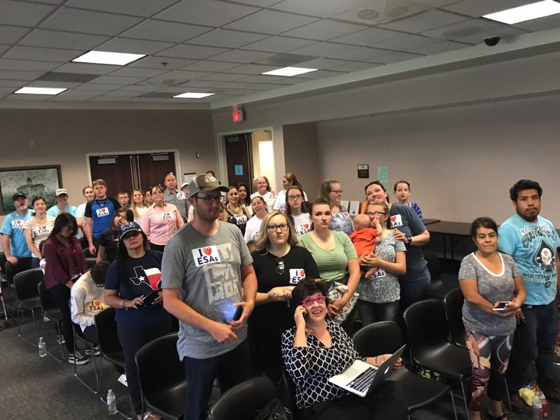 NVschoolChoice's tweet photo. Showing support for ESAs at the hearing after rallying in 100 degree heat! #yestoESA #nvleg https://t.co/bLDyUGudTq