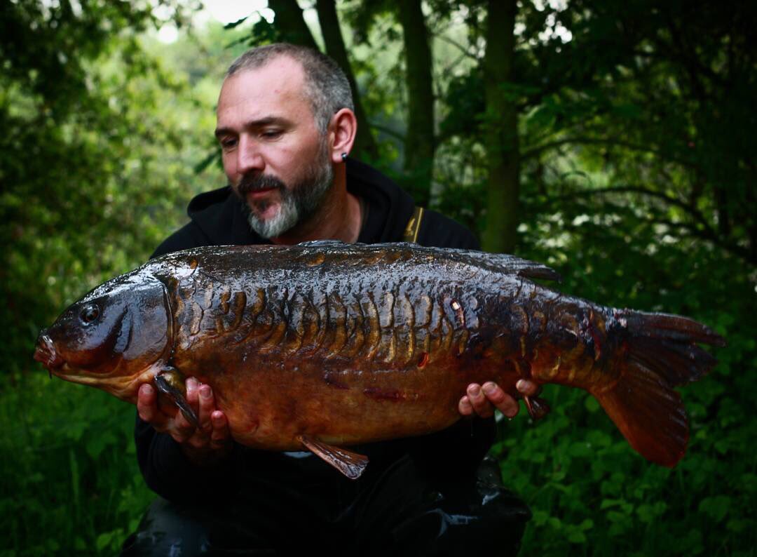UltimaCarp's tweet photo. Dave Little with a 31+ old English Carp using #UltimaCarp 16lb Power Carp XR #line 
#ultimaUk #First4Fishing https://t.co/lTEpjPSNc0 https://t.co/T4e292CiiX