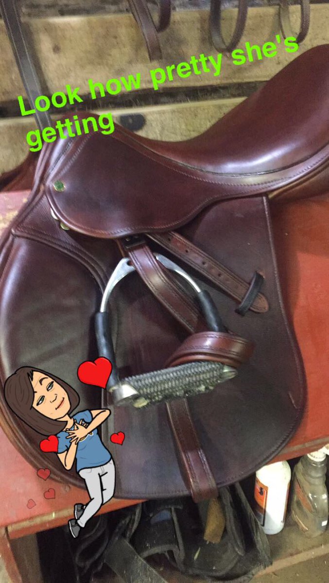 noblestables's tweet photo. The more I ride her, the darker she becomes. #countysaddles #testrideacounty #teamwool https://t.co/Hc0rFHs9Wo