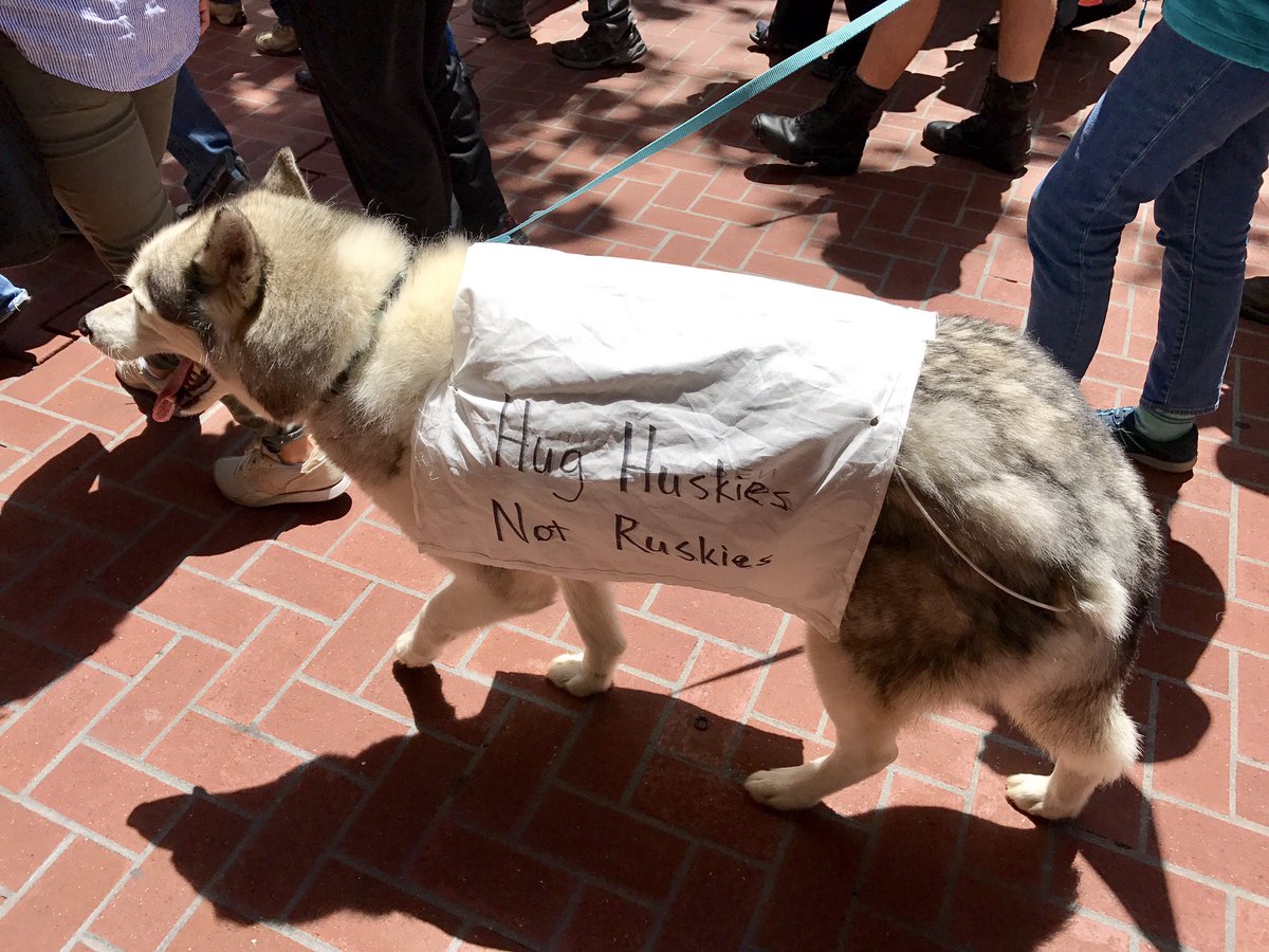 SqueakyMissD's tweet photo. @BitchestheCat #MarchForTruth #SF #Resistance #impeach45 https://t.co/ltgPlncoLr
