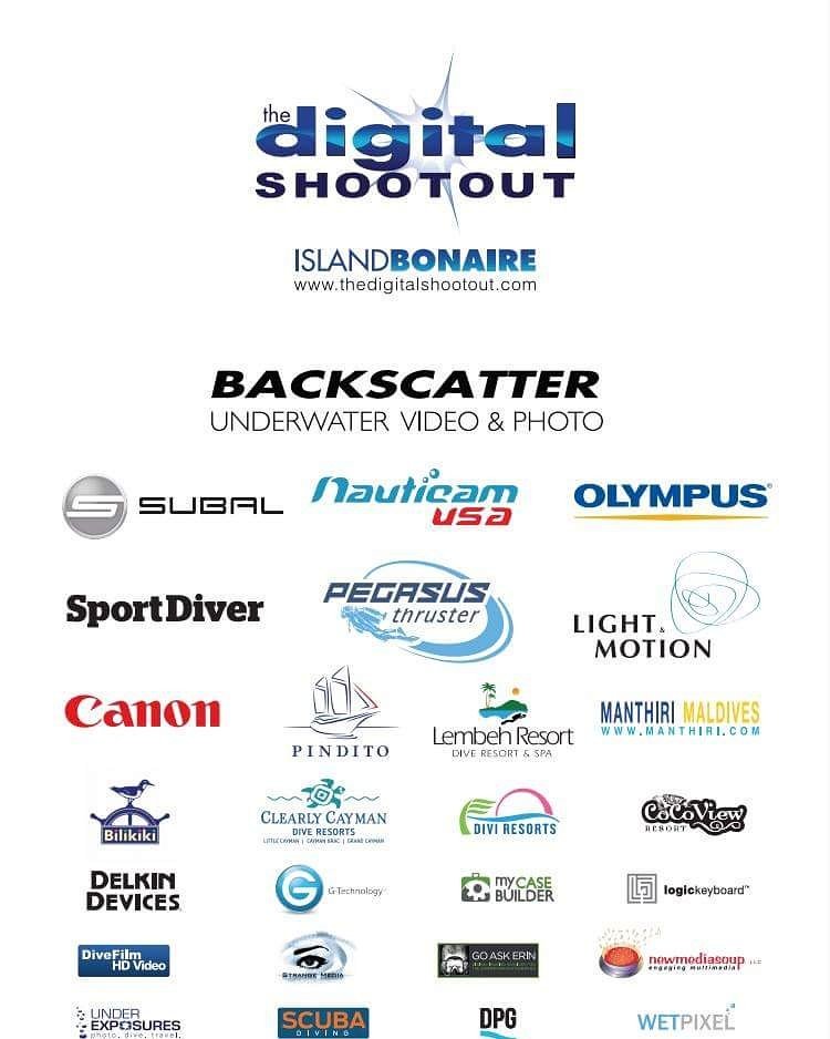 schulz_steffan's tweet photo. 2 weeks of diving and underwater cinematography.
#DigitalShootout #underwaterimaging #Bonaire @GTechStorage @MyCaseBuilder @LogicKeyboard https://t.co/FqtnvhcKk4