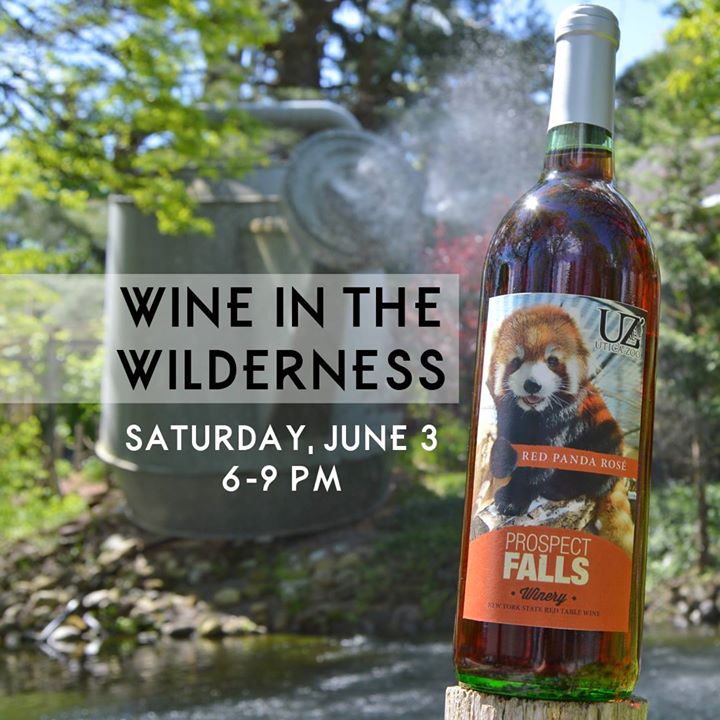 OrderitUtica's tweet photo. Heading to the @UticaZoo Wine in the Wilderness? Stop by the #Orderit Uncork stations and pick up your coupon for $5 off your next order! https://t.co/w5YvtJgMJH