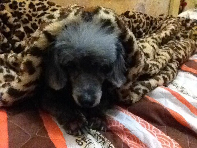estacaDcarvalho's tweet photo. Uma fotínea da pessoa que eu mais amo nesse mundo 😍❤️ #Layce https://t.co/2KHOyvDc2Y