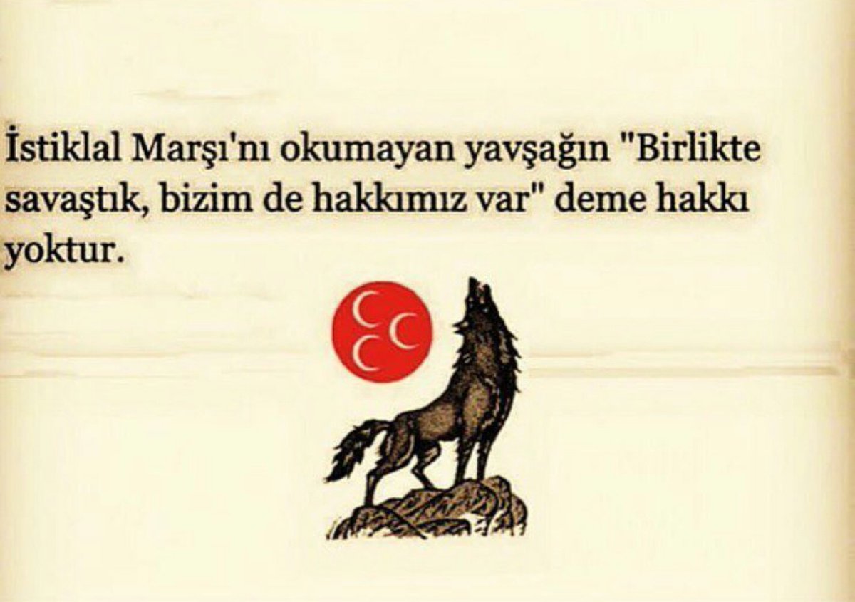 Mine KoRaŞ (@korasmine) on Twitter photo 