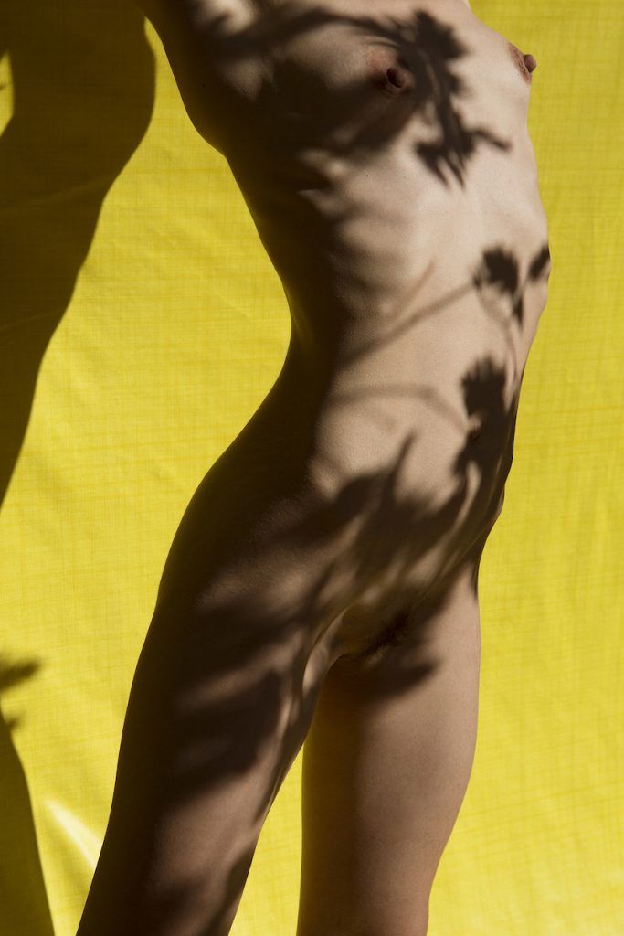 Viviane Sassen's latest photography book 'Roxane II' celebrates the bond between artist and muse <a href="/oodee_books/">oodee</a> bit.ly/2qNam7Z
