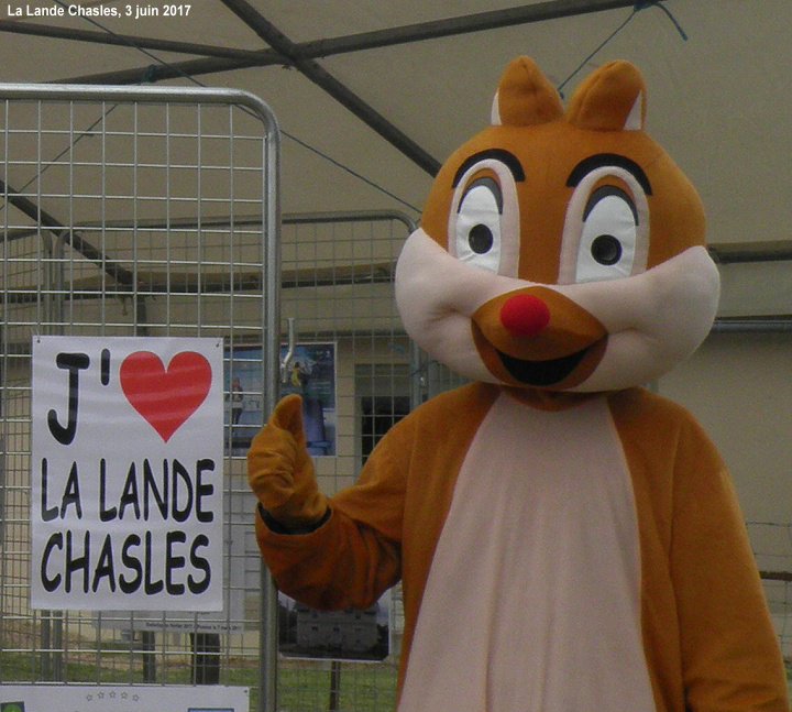 lalandechasles's tweet photo. Merci aux abonnés @lalandechasles de bien vouloir retweeter ce message vous donnant RDV demain pour 10e anniversaire RANDO FERME 9h à 18h https://t.co/mxlWdnzcVv