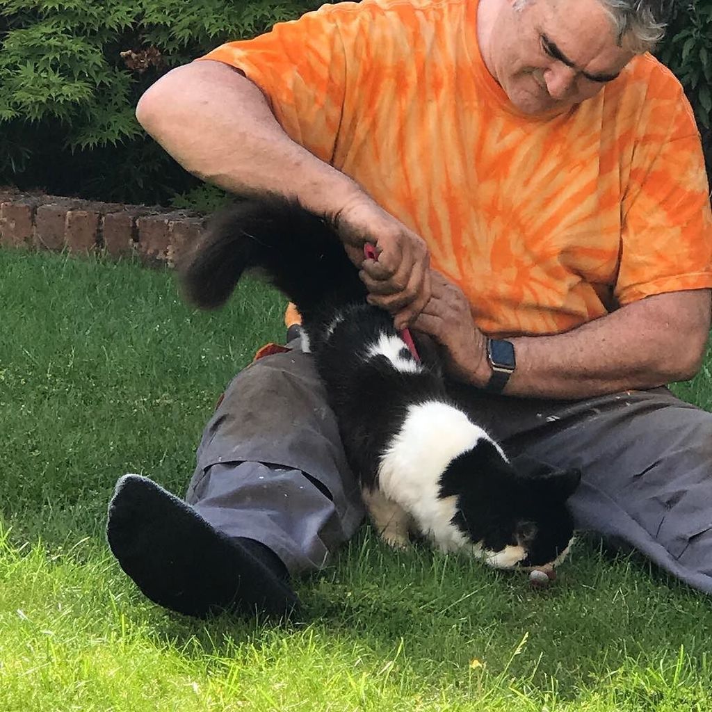 MaMaDolson's tweet photo. The Davinator & #skyethesupercat have quality time in the garden #caturday #catsofinstagram #manwithcat https://t.co/tRUweysUED https://t.co/mEZhnSAqpd