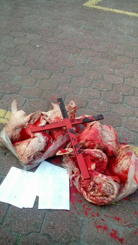 julioastillero's tweet photo. De Cuautitlán Izcalli reportan: cabezas d cerdo, cruces y listas con nombres. En Bosques dl Alba, afuera d dnd habrá casilla, y en La Piedad https://t.co/6uuIQBviiP