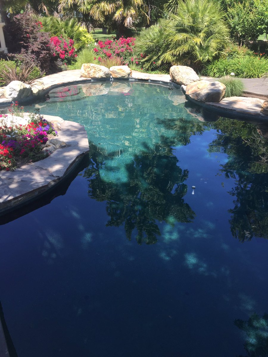 poolppl's tweet image. #PoolPpl #saturdaymorning ☕️💦👍