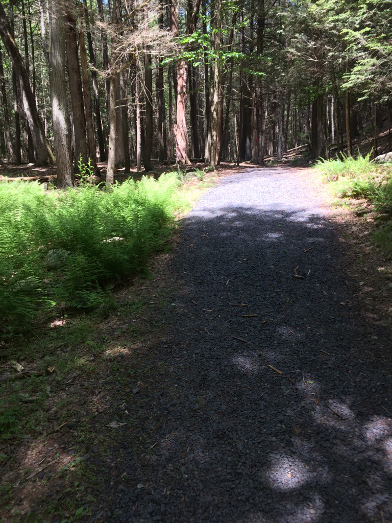 gnat12's tweet photo. Lovely day at camp #nyycamp #greenkill @ymcanyc @ymcanycteens https://t.co/X6EvJALSRT
