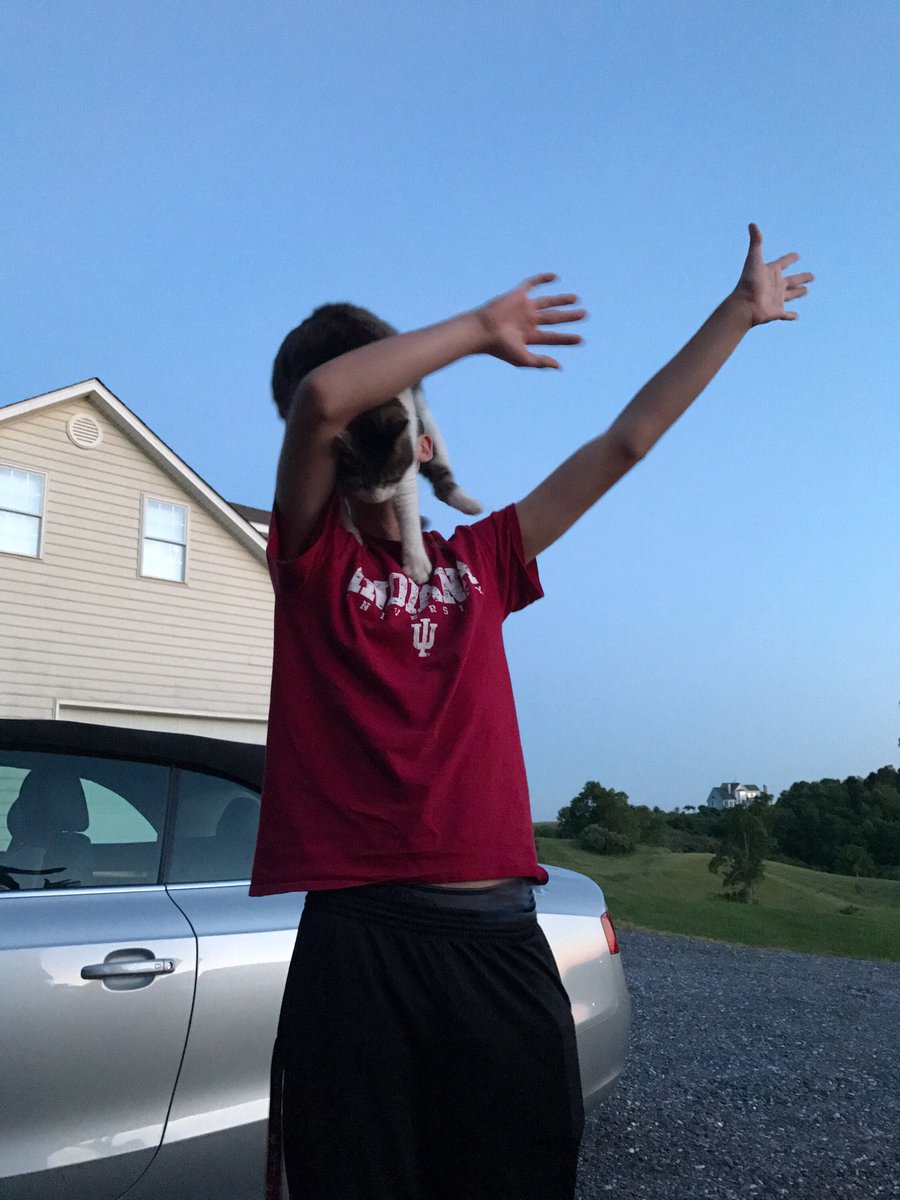 eric_young5's tweet photo. #catdab pt2 https://t.co/SSjlLrQCh2