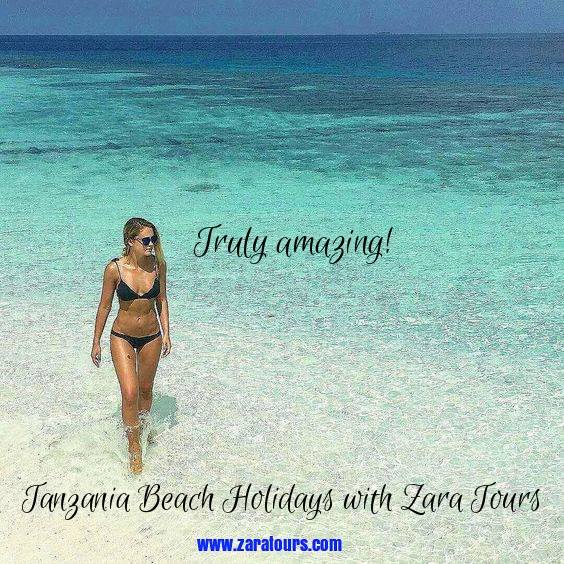 MaconDunnagan's tweet photo. Yes to #scubadiving #scuba #zanzibar $4,000p 11 days with @ZaraTours Read; https://t.co/RDQIgpEM1s… #adventurescuba @ScubaDivingHQ #YOLO https://t.co/a1X61qnk1c