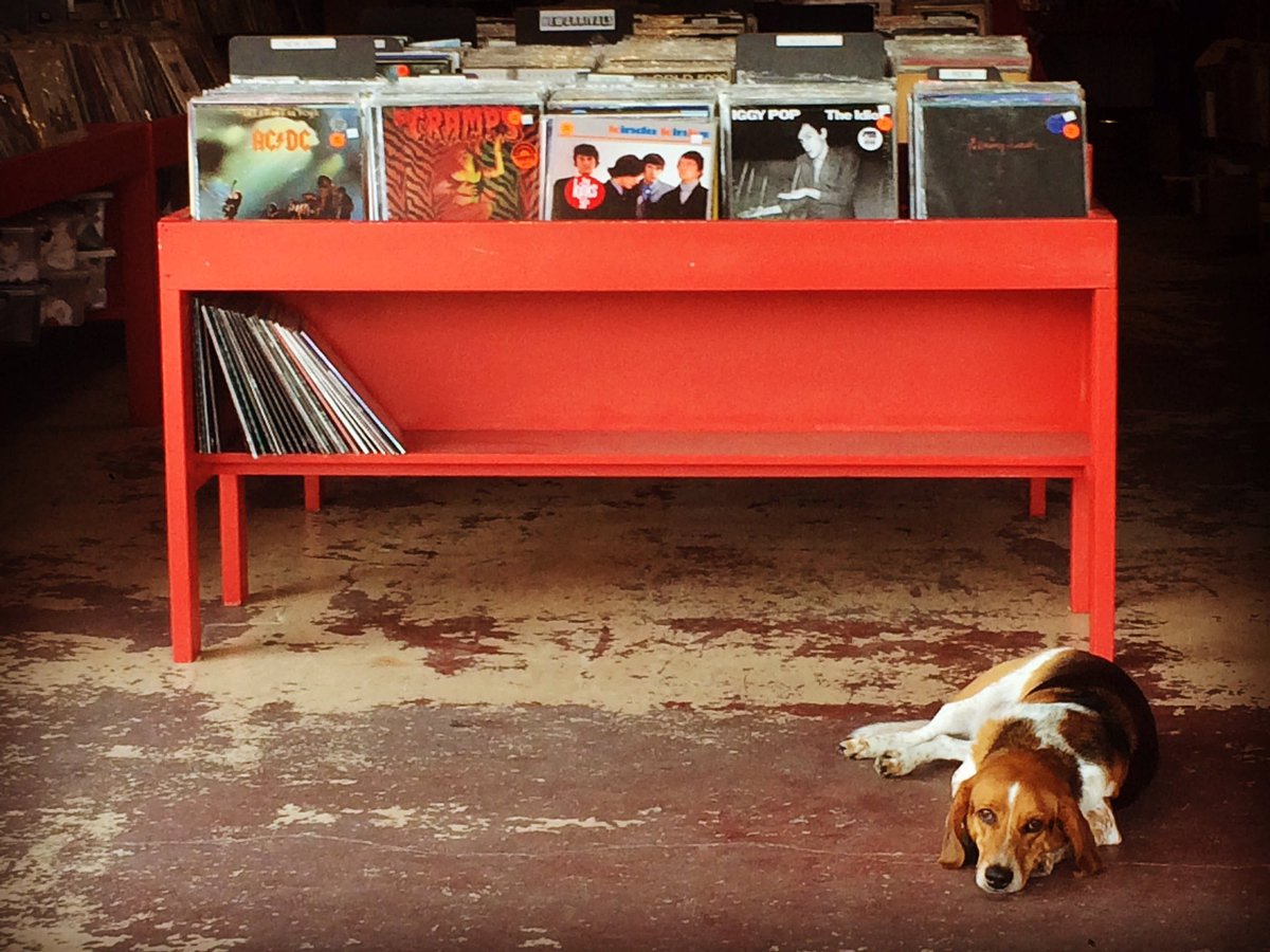 What's the perfect place to hang out at on a summer day? Your local record shop! Bring your hounds and come say hi!