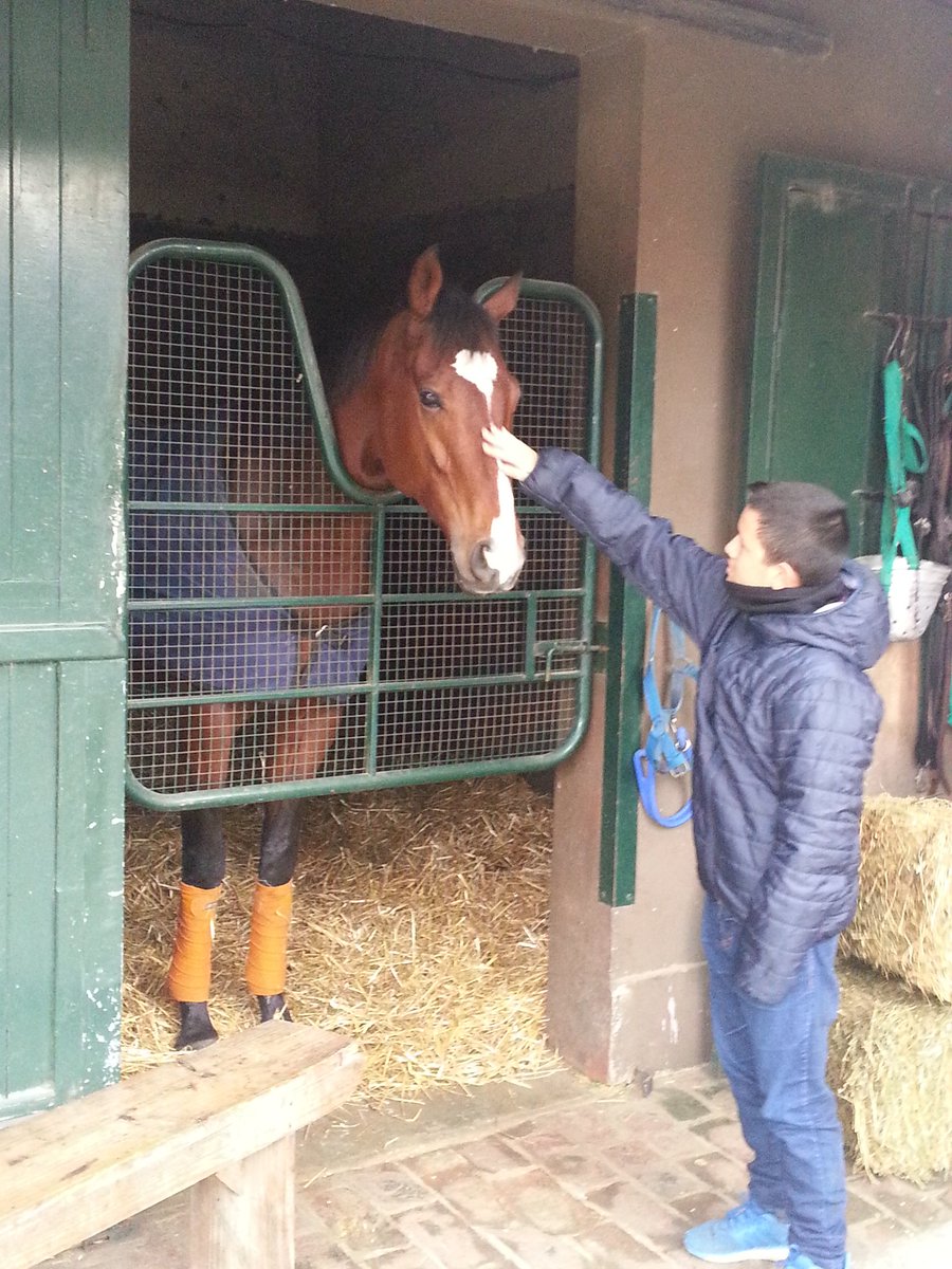 gomez_die's tweet photo. En el stud con con algunas maquinitas como #DONINC Y #STIVERS 👌👌💪💪 @tardesdeturf @lasmonjitaspolo @Turfpremium @LaMaquina_Turf @TurfDiarioq https://t.co/tbCbUFlyQQ