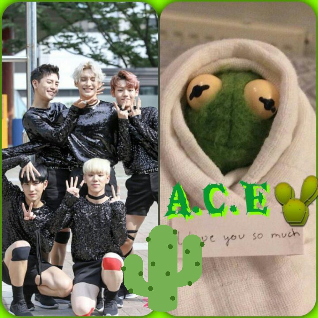 ChuniHoseok_luv's tweet photo. #WATCHCACTUSBYACE
Go choice! Sigan reproduciendo el MV https://t.co/dIrMp97TmF