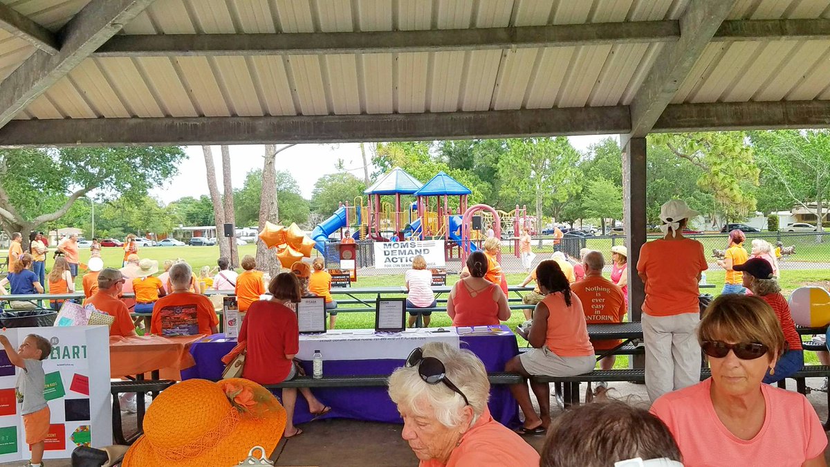 LettersFromLO's tweet photo. #wearorange #wearorangestpete #wearorangestpete2017 @MomsDemand https://t.co/6MqIBcw1vN