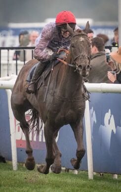 Darren Connolly tweet media