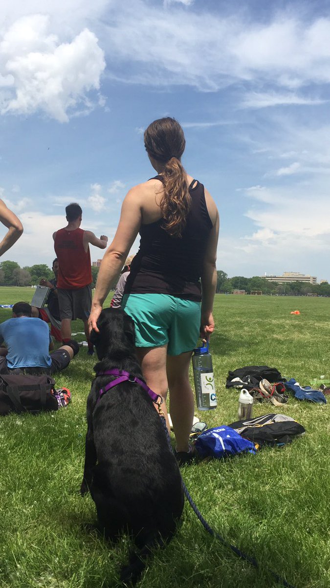 hollaholub3's tweet photo. People let me tell ya bout our best friend @ElevateUltimate #Mace #Pupppppppies #LiveTweetingPractice https://t.co/HhH6c3bs8b
