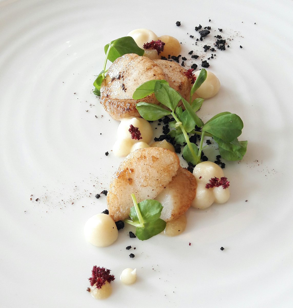 designbyjono's tweet image. As always, phenomenal food &amp;amp; cocktails @MojoTheFoodBar. #MojoMagic