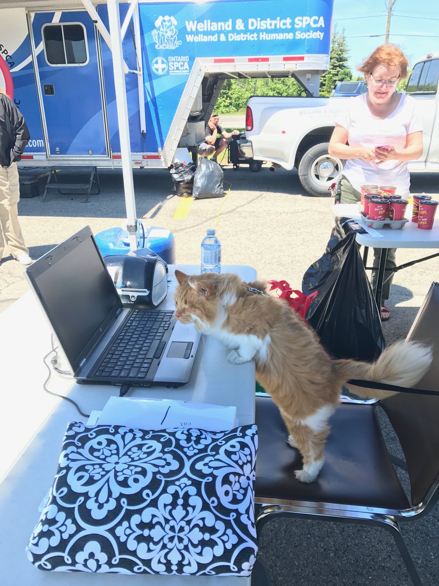 NSPCA_AnmlServ's tweet photo. Meet our new mobile receptionist Winklin! https://t.co/fQFaQcNTjz