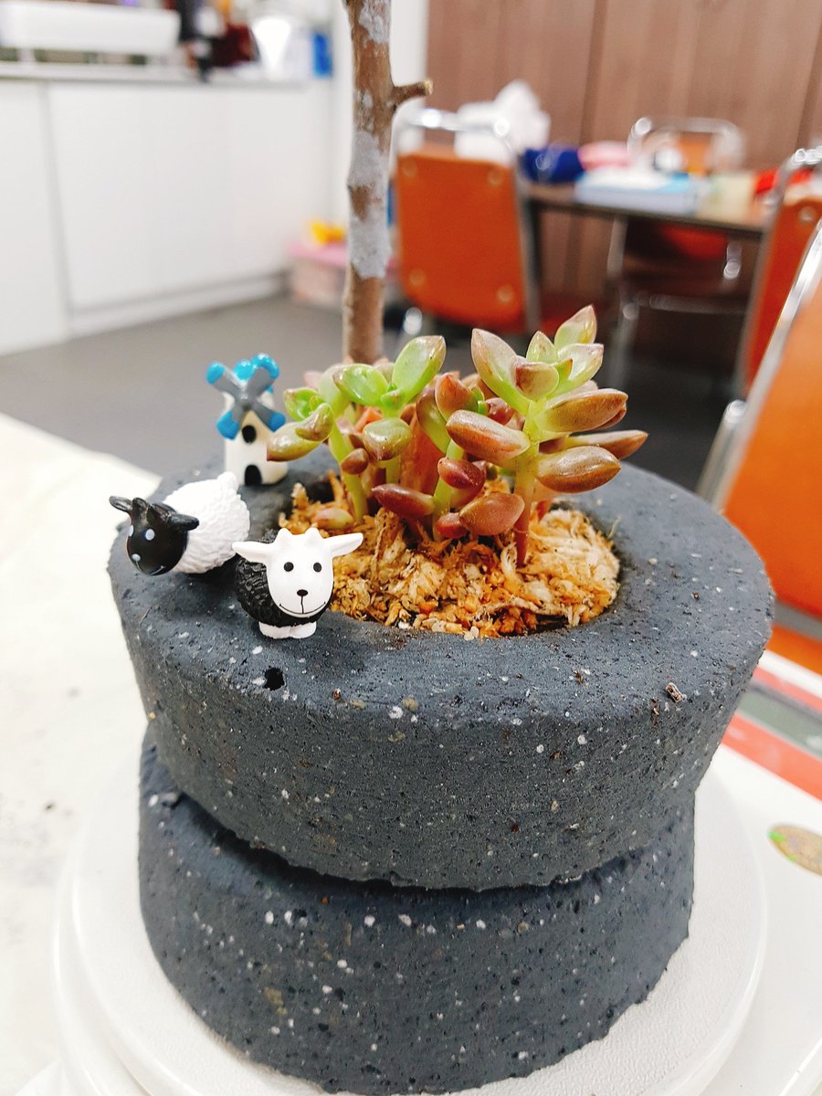 AliceLoveRy's tweet image. #다육아트 #새집증후군 #미세먼지 #다육이 #에코탄아트 #에코탄 #입체화분 #새집증후군 #새집증후군식물 #미세먼지제거 #맺돌 
 월요일. 화요일 
서수원 풀잎
031-292-5579
010-5536-9975
band.us/n/a1a4UfIaV4hbX