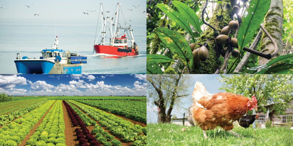 USFoods's tweet image. Chef @jaysalpha1 supports #ServeGood's commitment to sustainability! From food's origins to how it's handled: ow.ly/bHBc30bWENE