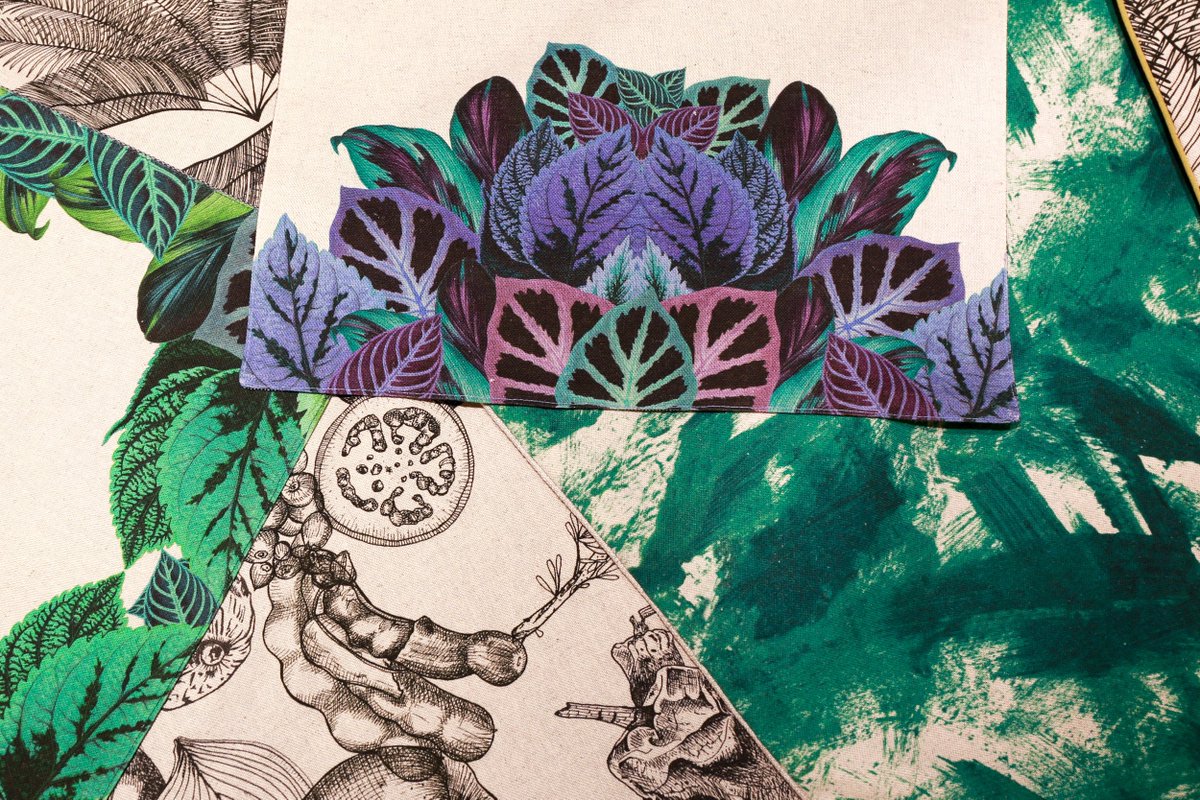coolhuntermx's tweet photo. #MintAndLime es una tienda de textiles y diseño con un concepto único en México, enamorarte de sus productos aquí https://t.co/5SskSmT9TI https://t.co/yxNecoIzhr