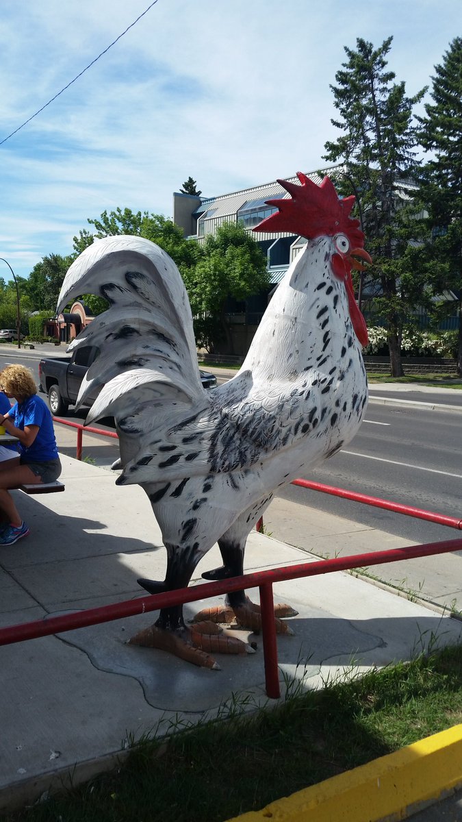 Culinary Race tweet media