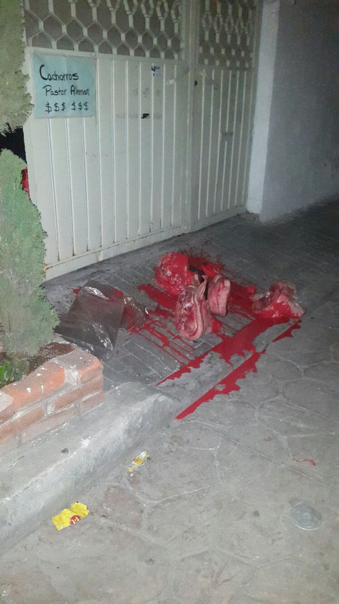 soyedomex's tweet photo. #MéxicoVsPRI #MeGustabasPero aparecen #CabezasDePuerco en el oriente de #Edomex2017 se prevee violencia en elecciones https://t.co/NQ0J5Pyxzh