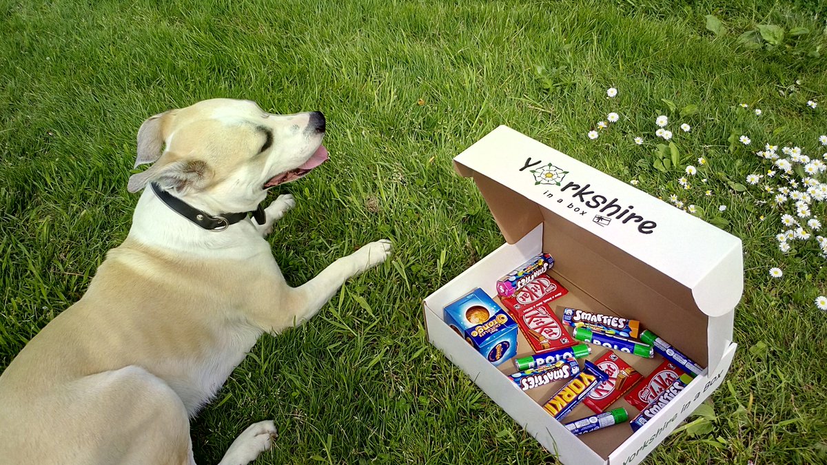 <a href="/yorkshirebox/">Yorkshire in a Box</a> with one of from our best friend! :) #Yorkshire #Leeds #gift 🎁💚