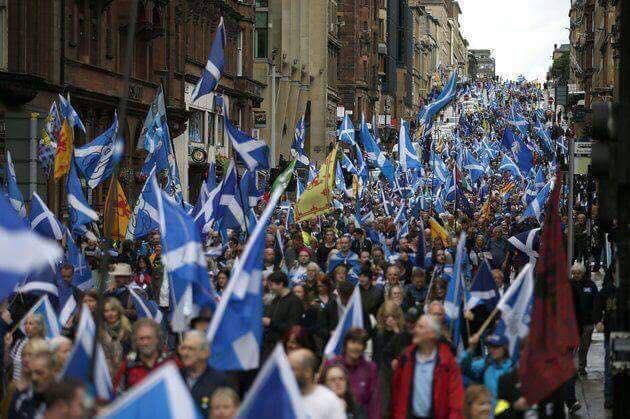 WeLoveScot's tweet photo. You were fantastic today, #Scotland 👏🏻 https://t.co/EtT7yAZJNt
