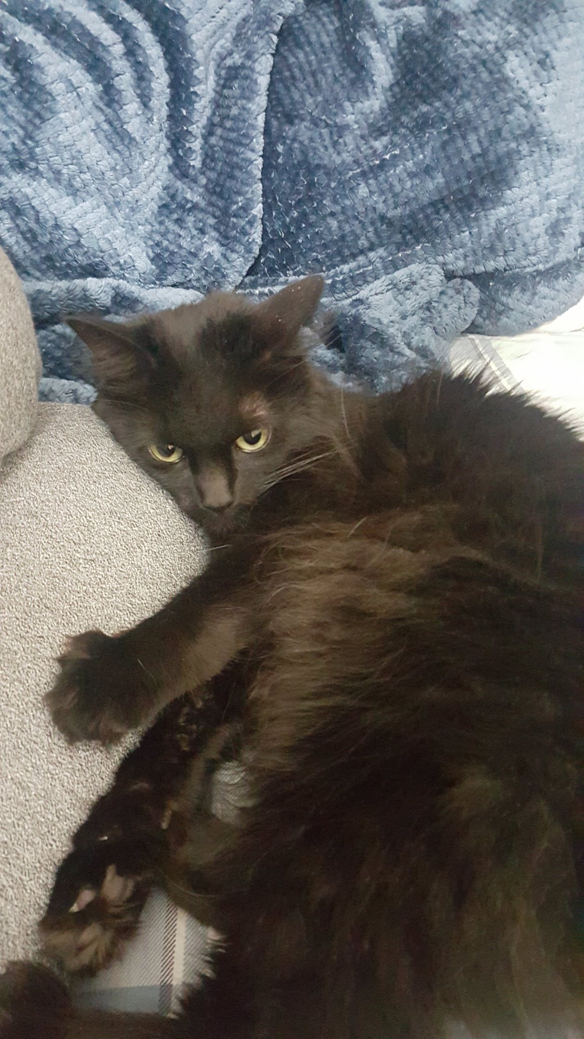 Happy Birthday Anderson Cooper
From
Anderson Coopurr 