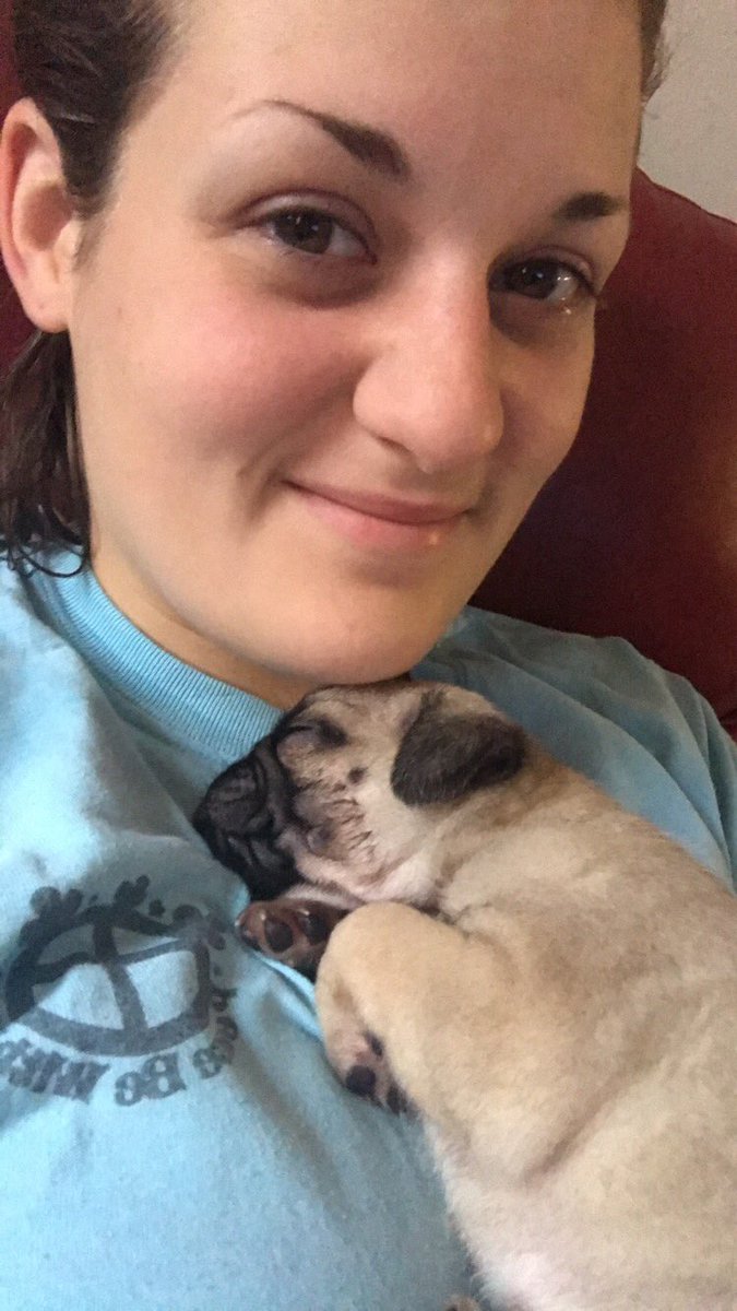 arielkronski's tweet image. #Pugmommy #finallyofficial