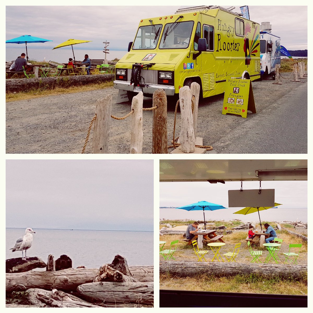 Hungry Rooster tweet media