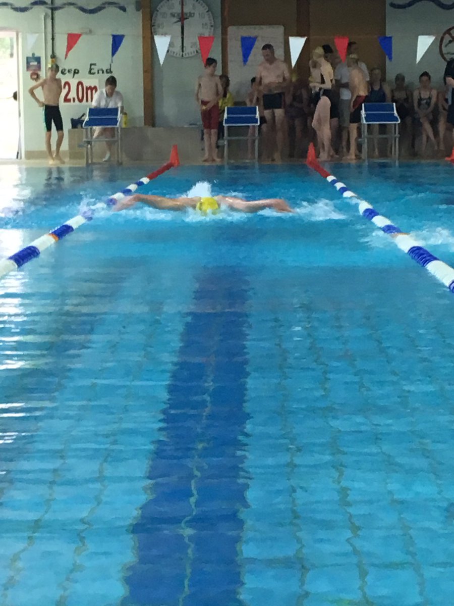 HonitonSwimming's tweet photo. Excellent fly swims from the @HonitonSwimming members excellent flying https://t.co/bEgwPzjd6j