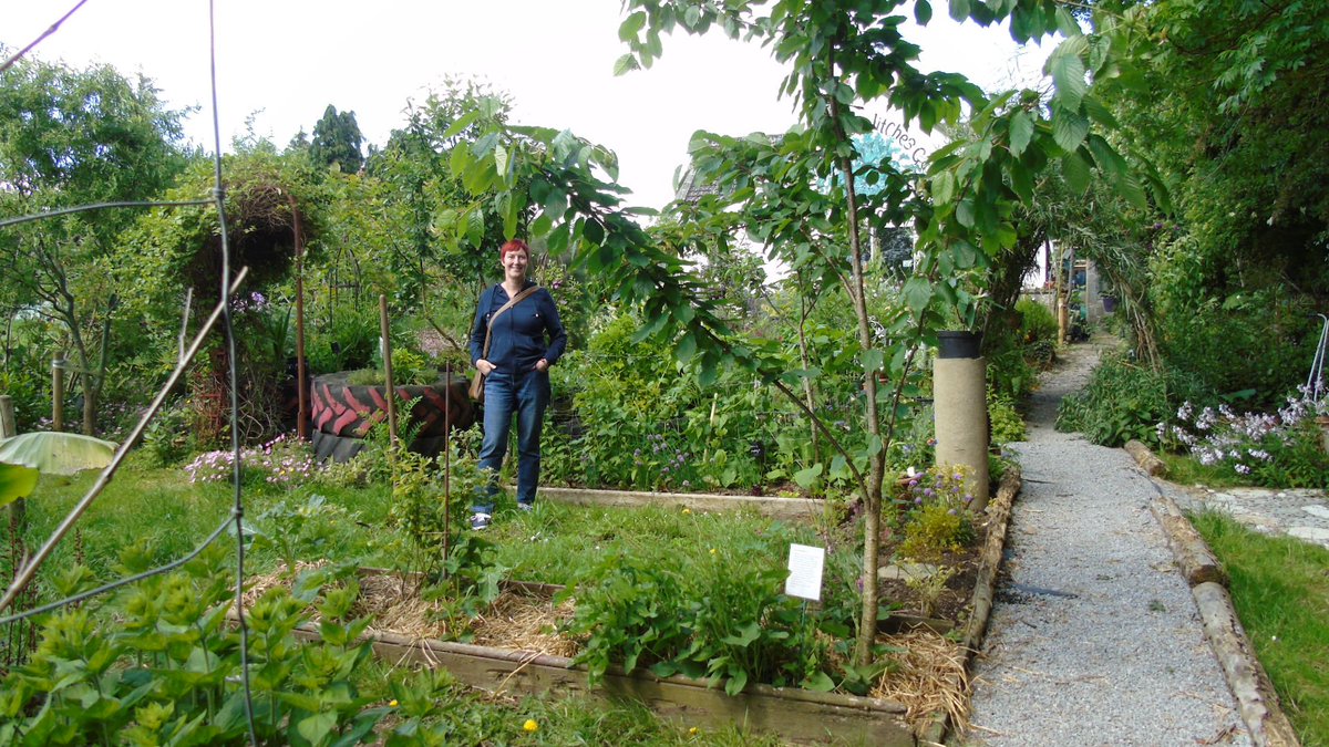 FriendsofMerlinWoods tweet media