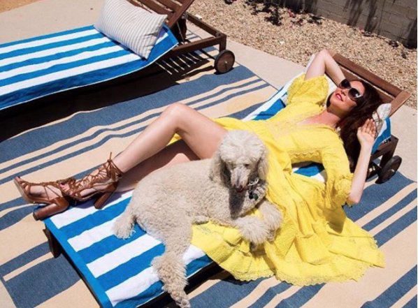 SHAREENdotcom's tweet photo. shareendotcom@janiebryant you are pure sunshine!! #shareendotcom #vinatgedress #palmsprings #sunshine #vintage https://t.co/tdqsVXGZec