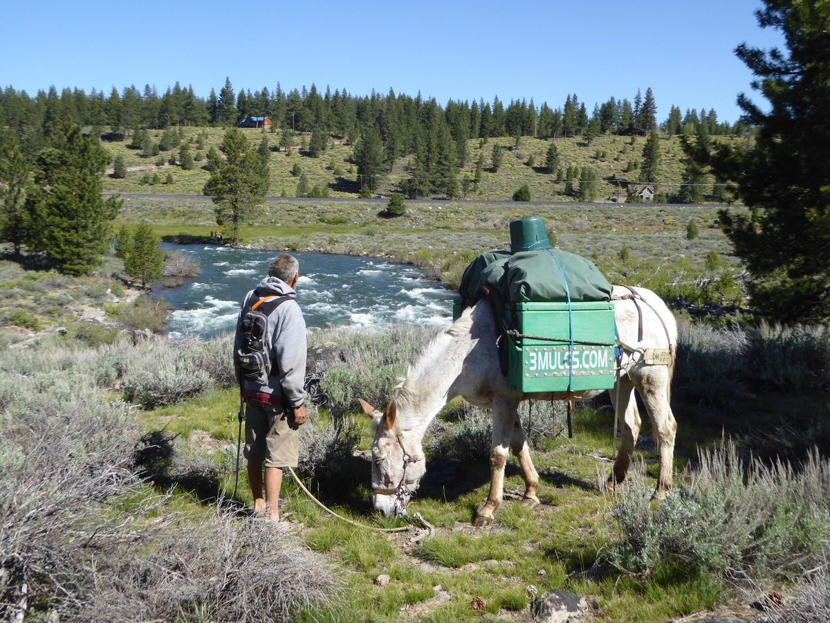 3MulesDotCom's tweet photo. Go outside &amp; enjoy nature today. #NationalTrailsDay #3Mules #NomadicLife https://t.co/gFqhjgceFa https://t.co/0ANIln5epa