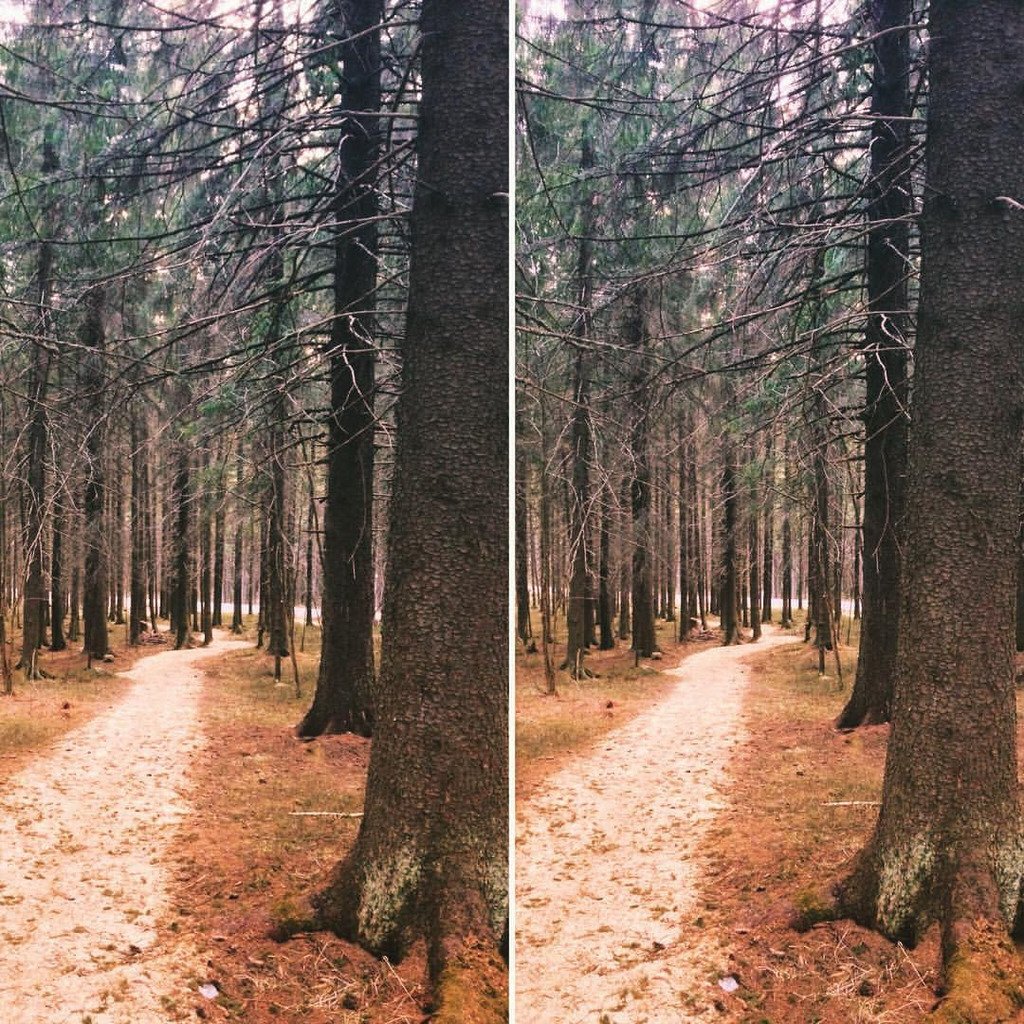 UhuBeobachter's tweet photo. An Hommage to #Jordskott 🌲 #NordicNoir 🌲 #Karelia 🌲 #forest #wald #skog #лес 🌲 #StereoPair #StereoScope #StereoPhoto #parallelstereo #Стере… https://t.co/0cQENVhjzh