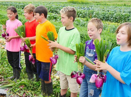 equiterre's tweet photo. #Agrofun​ à la ferme @TerrePartagee​! Une émission d'@UnisTV​ où les enfants apprennent d’où viennent les aliments : https://t.co/lvQ7D4BtYO https://t.co/rEn4xiByaT