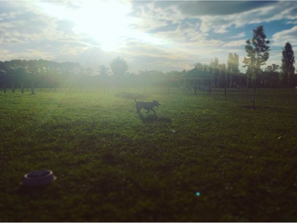 Prudential Real Est. tweet media