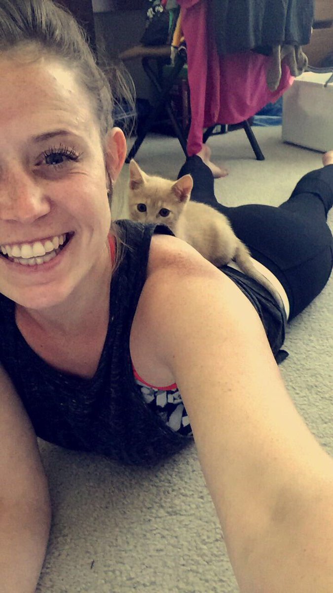 _becca_kate_'s tweet photo. Normally I hate cats, but how could you not love this little nugget?? #ThomasOMalley #OMalleyTheAlleyCat #GodKitty @JordannMay1 https://t.co/76FVhGxfy1