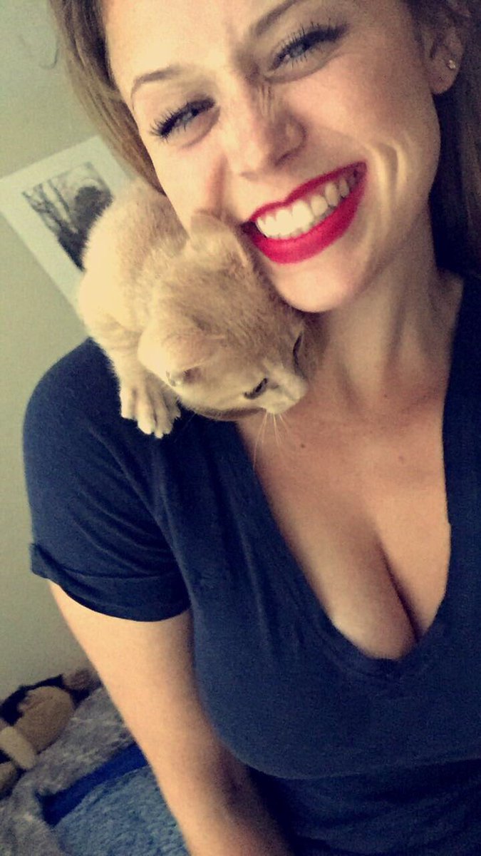 _becca_kate_'s tweet photo. Normally I hate cats, but how could you not love this little nugget?? #ThomasOMalley #OMalleyTheAlleyCat #GodKitty @JordannMay1 https://t.co/76FVhGxfy1