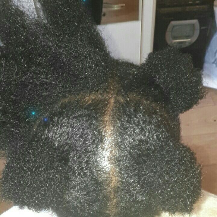 s_ob_s's tweet photo. Big chop+jumbo twists for @kingdansz
#cornrows #menscornrows #dreadlocks #starterlocs #boxbraids #feedinbraids #braids #twists https://t.co/DZNRwDlqUc