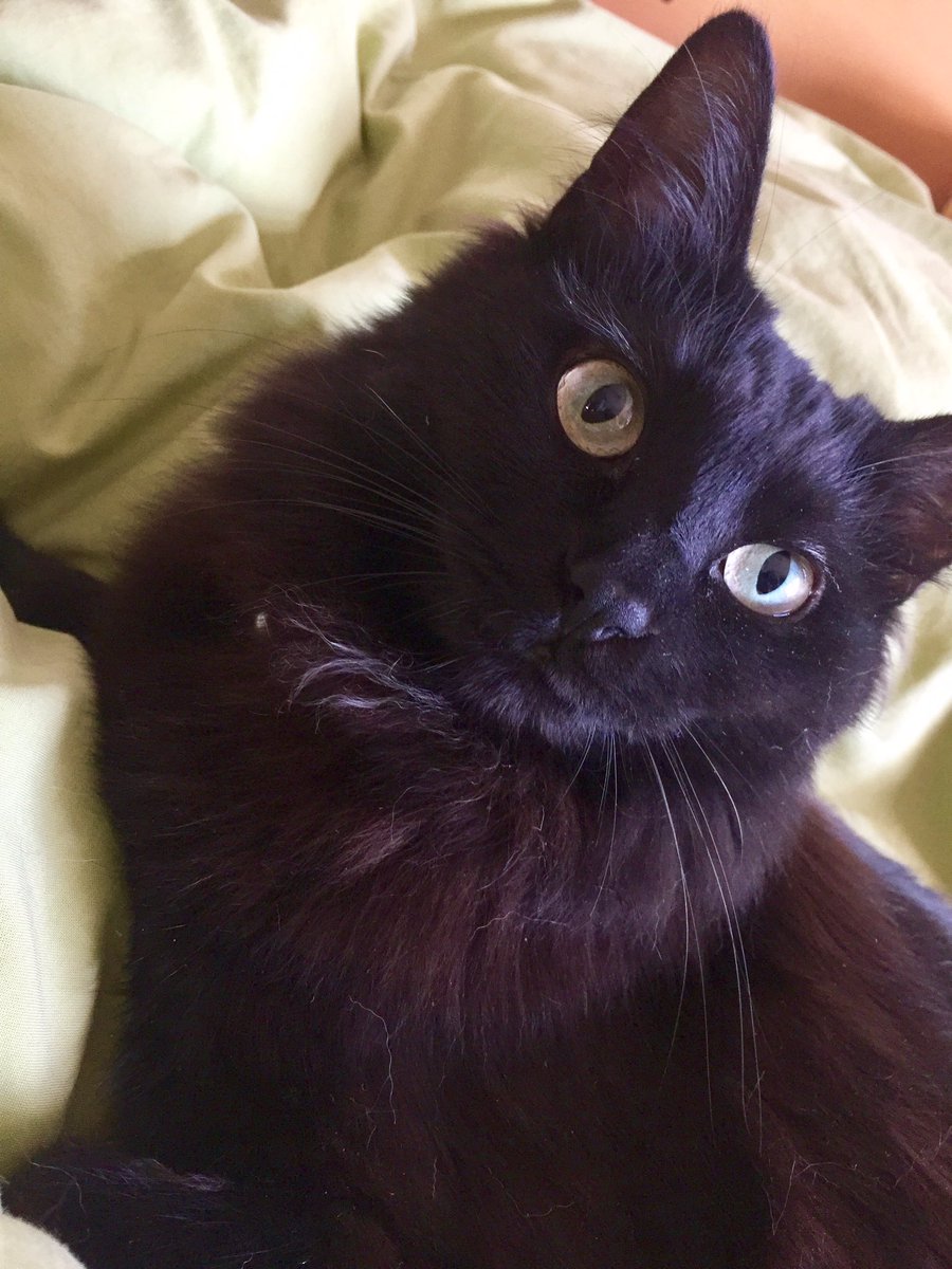 Movムコ９ 漫画配信中 あごに白い毛あります