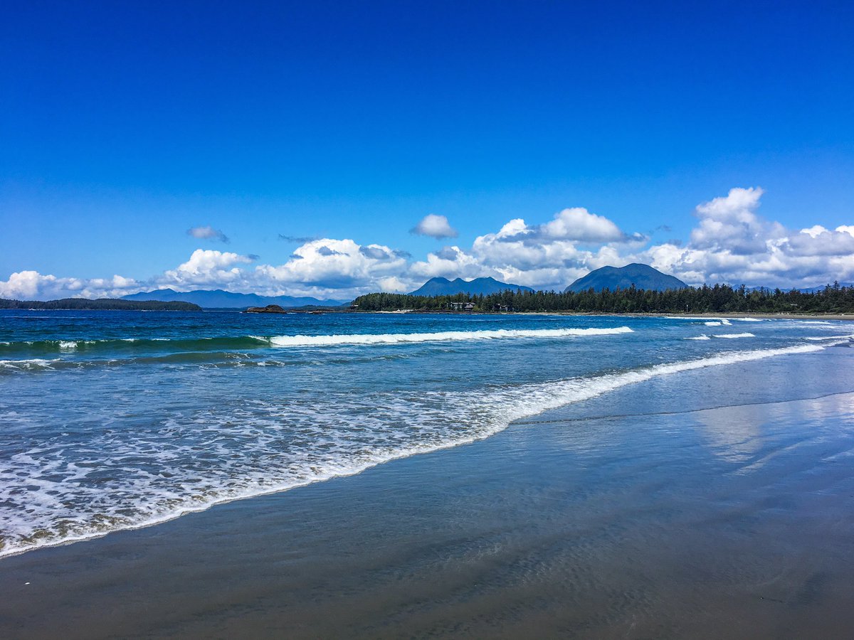 Chesterman_BnB's tweet photo. Looks like summer is starting early on Chesterman beach. #tofino #beach #explorecanada https://t.co/xdINMF57mL